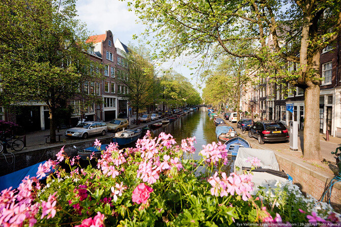 Зачем ехать в Амстердам?