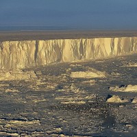 Колония императорских пингвинов. Остров Бьюфорт, Антарктида