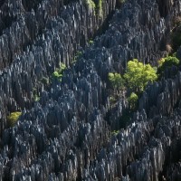 Каменный лес Цинги-де-Бемараха на Мадагаскаре