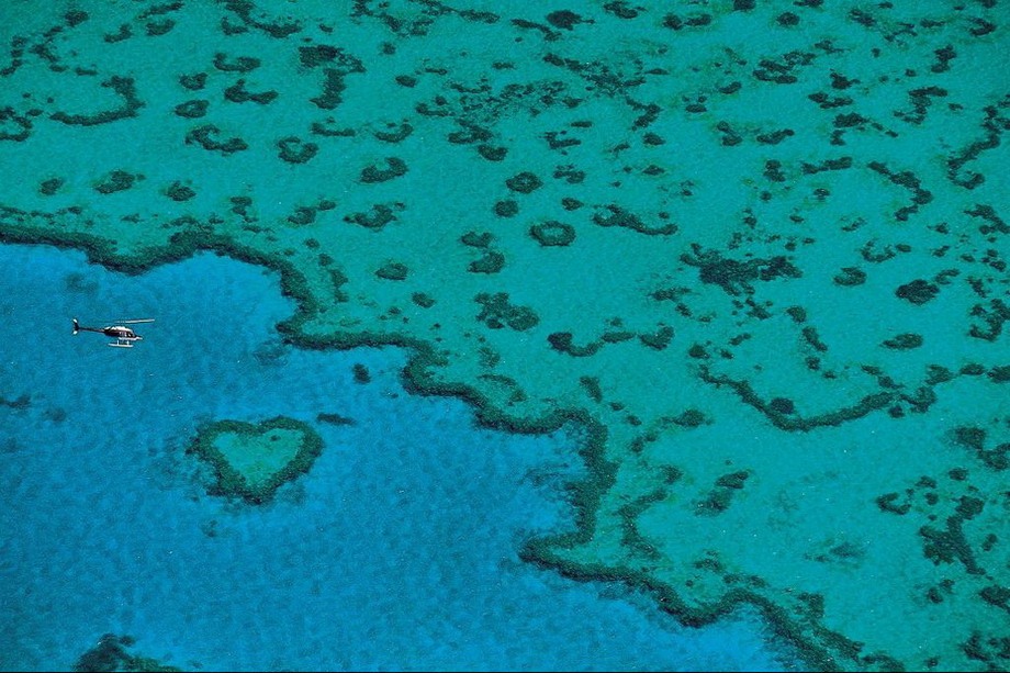 Фото: Большой Барьерный риф, Квинсленд, Австралия