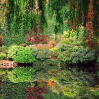 Сады Бутчартов, Reflections of Green. Автор фото: Ireena Eleonora Worthy's.