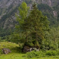 Оберзее. Автор фото Илья Горохов.