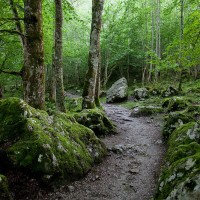 Оберзее. Автор фото Илья Горохов.