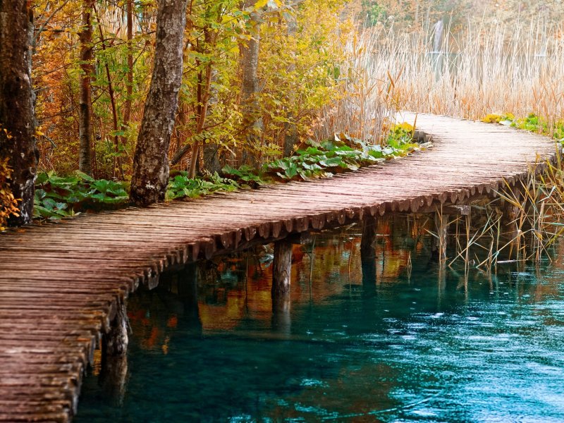 Деревянный мост на ставке