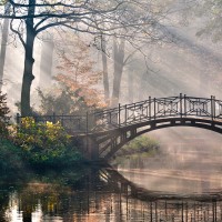 Изящный мостик через речку в лесном парке