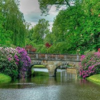 Мост через речку весь в цветах. Фото. Volkodavsha