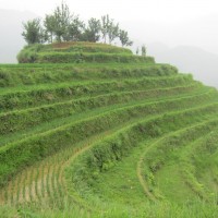Рисовые террасы в Гуанси. Автор фото: YarWise.