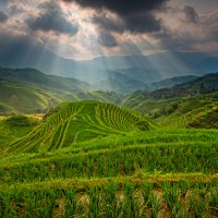Рисовые террасы в Гуйлинь, Гуанси. Автор фото: Helminadia Ranford.