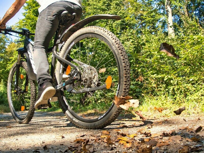 Фото: Велосипед - как средство от недугов