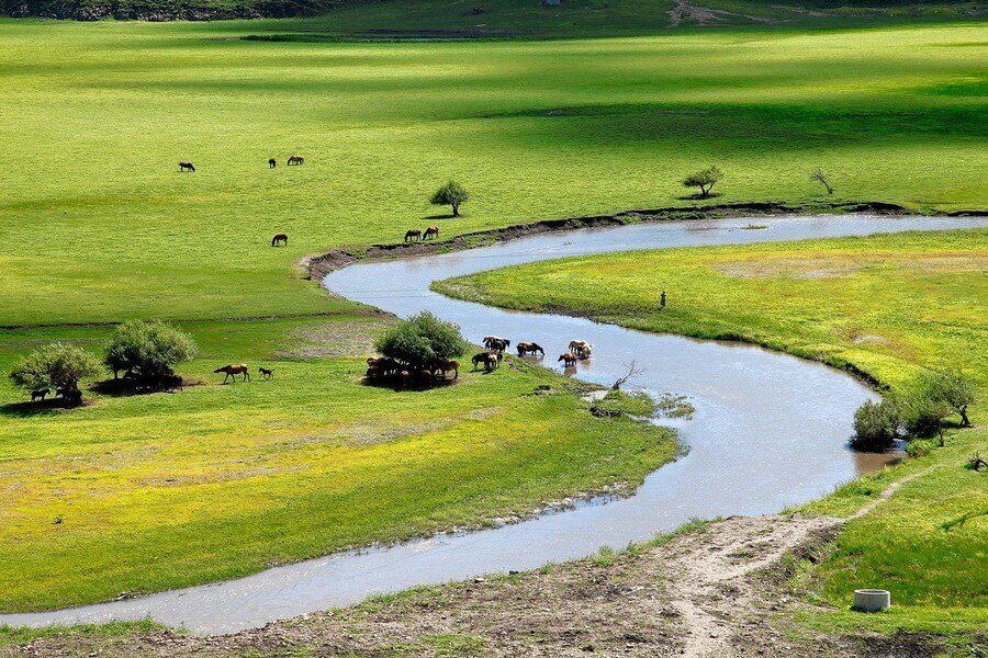 Фото: Природа Монголии