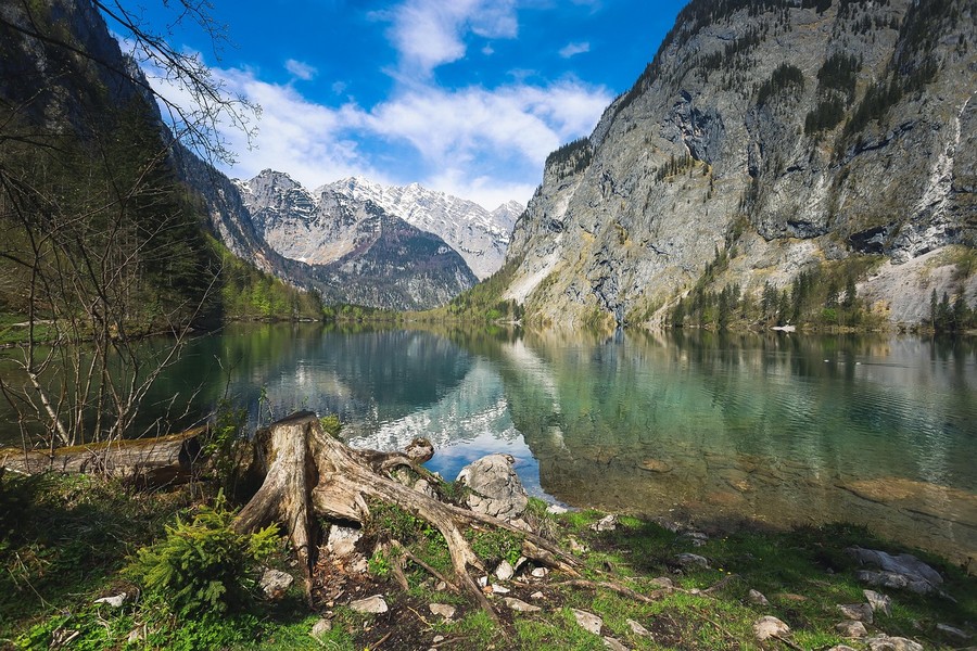 Фото: Obersee, Шенау-ам-Кенигзее