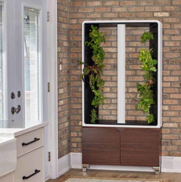 Фото: Вертикальный сад в квартире