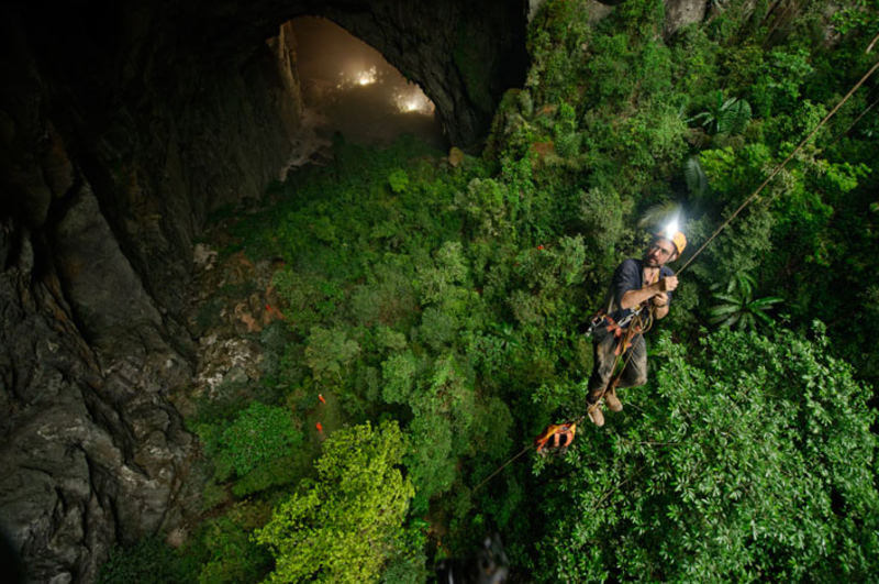 Джунгли в пещере